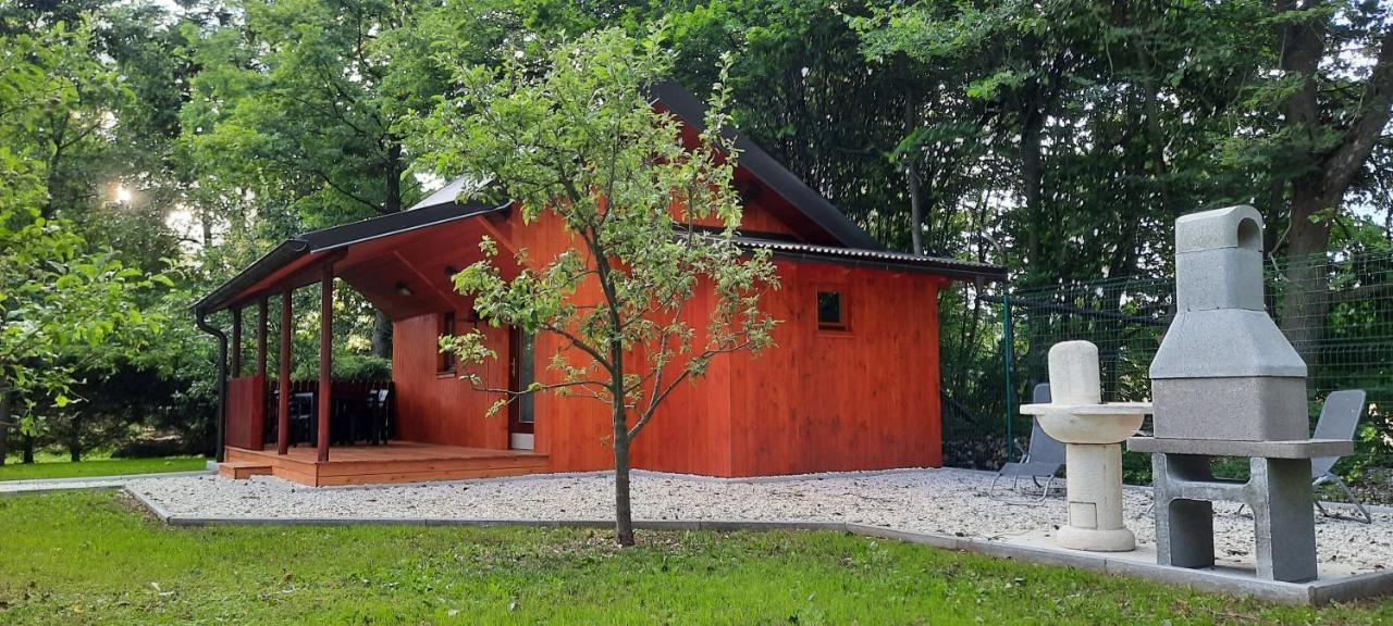 Wooden House Azbe *