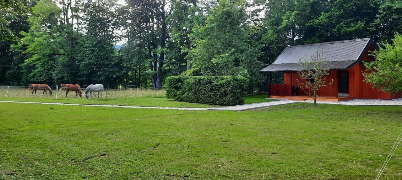 Wooden House Azbe Apartment Bled